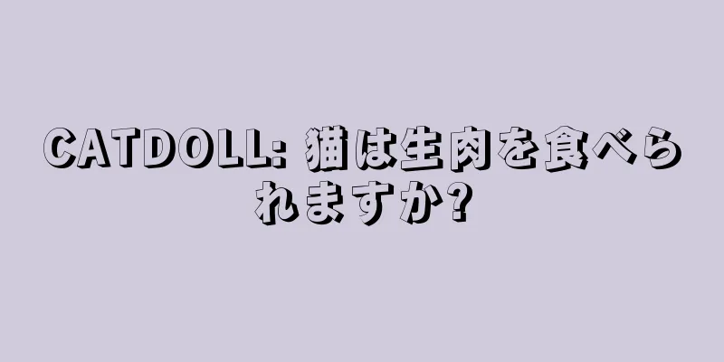 CATDOLL: 猫は生肉を食べられますか?