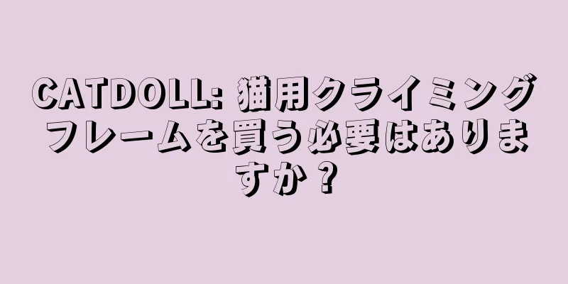 CATDOLL: 猫用クライミングフレームを買う必要はありますか？