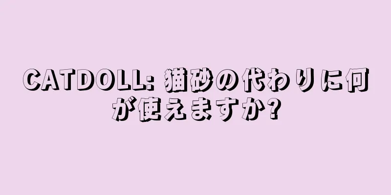 CATDOLL: 猫砂の代わりに何が使えますか?