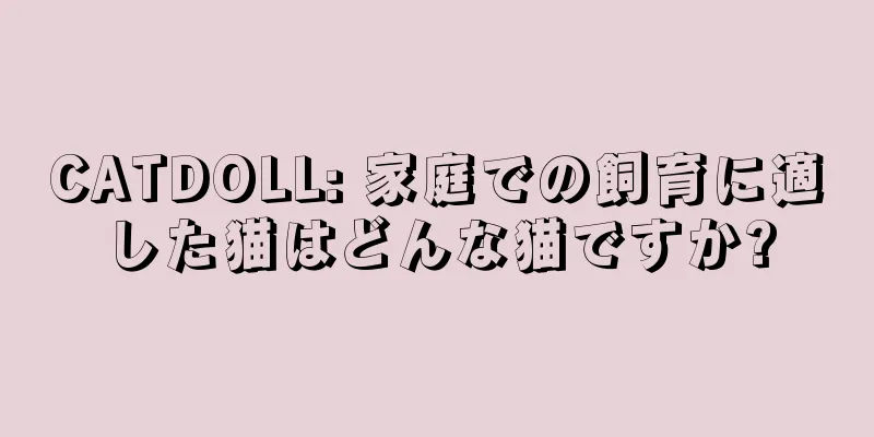 CATDOLL: 家庭での飼育に適した猫はどんな猫ですか?