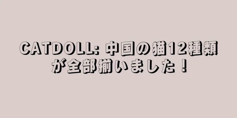 CATDOLL: 中国の猫12種類が全部揃いました！