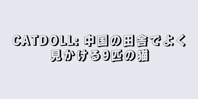 CATDOLL: 中国の田舎でよく見かける9匹の猫