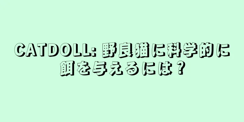 CATDOLL: 野良猫に科学的に餌を与えるには？