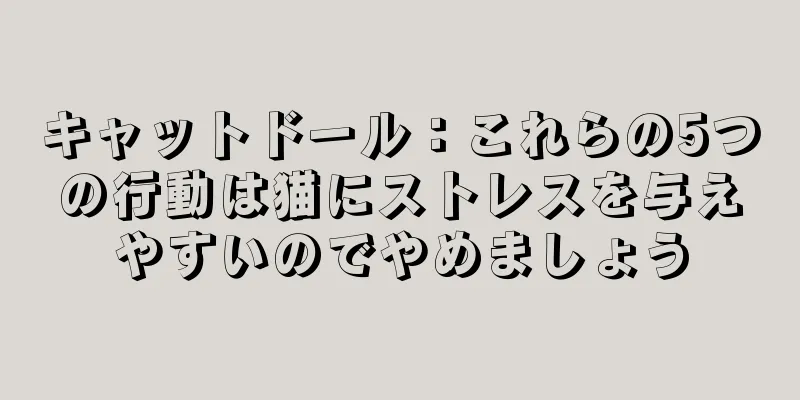 キャットドール：これらの5つの行動は猫にストレスを与えやすいのでやめましょう