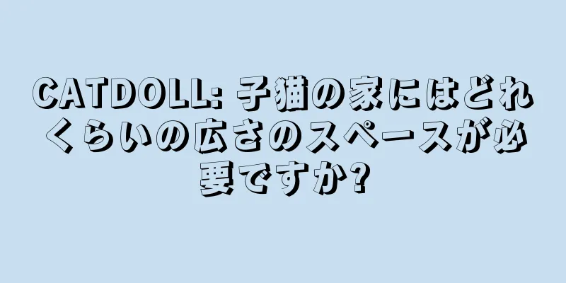 CATDOLL: 子猫の家にはどれくらいの広さのスペースが必要ですか?