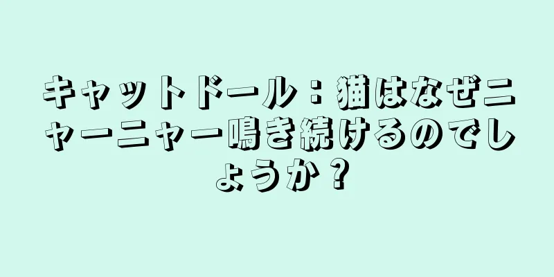 キャットドール：猫はなぜニャーニャー鳴き続けるのでしょうか？