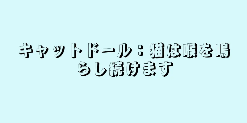 キャットドール：猫は喉を鳴らし続けます