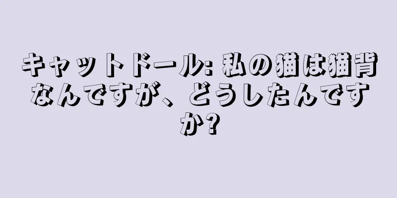 キャットドール: 私の猫は猫背なんですが、どうしたんですか?