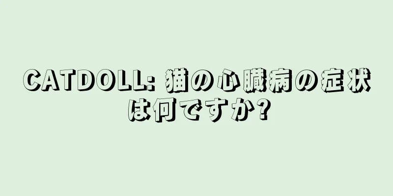 CATDOLL: 猫の心臓病の症状は何ですか?