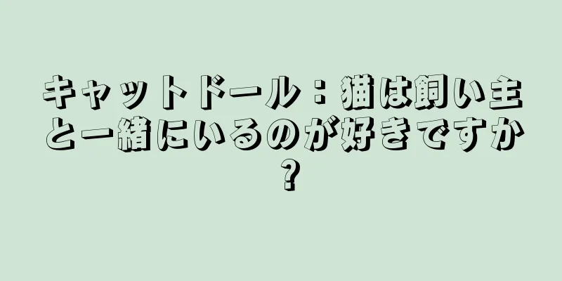 キャットドール：猫は飼い主と一緒にいるのが好きですか？