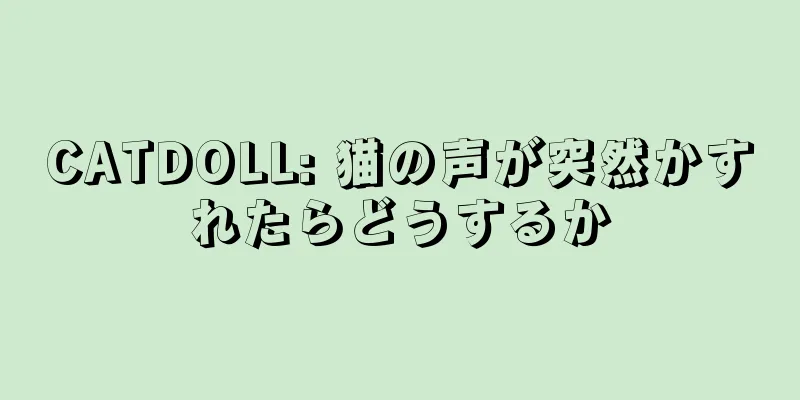 CATDOLL: 猫の声が突然かすれたらどうするか
