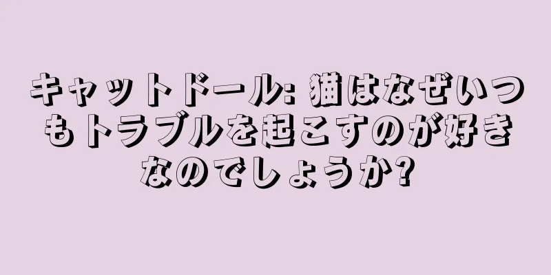キャットドール: 猫はなぜいつもトラブルを起こすのが好きなのでしょうか?