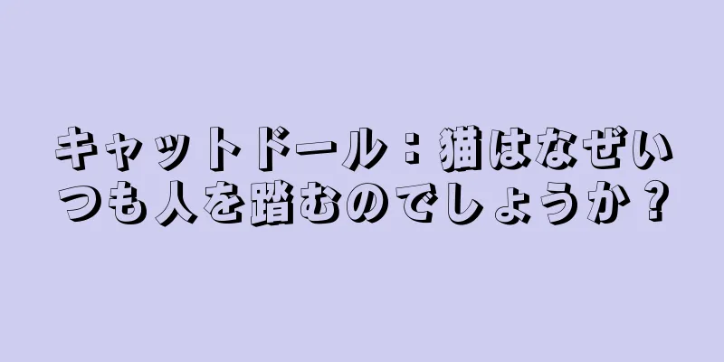 キャットドール：猫はなぜいつも人を踏むのでしょうか？