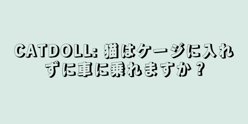 CATDOLL: 猫はケージに入れずに車に乗れますか？