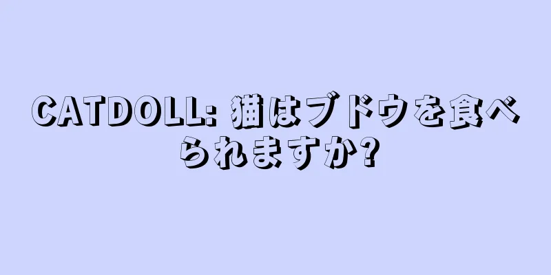 CATDOLL: 猫はブドウを食べられますか?