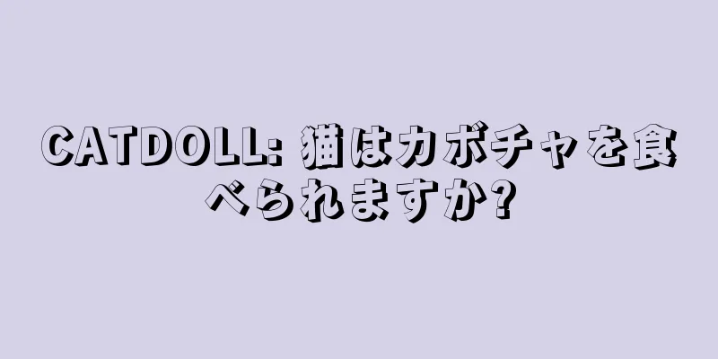 CATDOLL: 猫はカボチャを食べられますか?