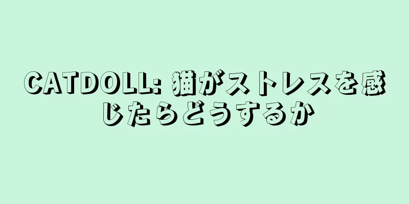 CATDOLL: 猫がストレスを感じたらどうするか