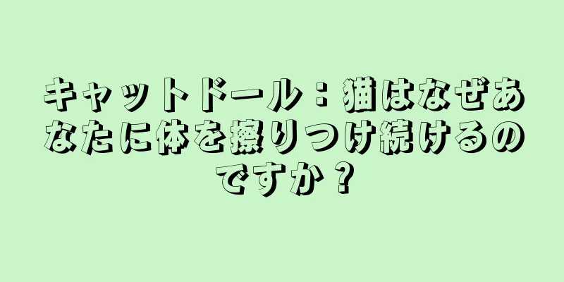 キャットドール：猫はなぜあなたに体を擦りつけ続けるのですか？