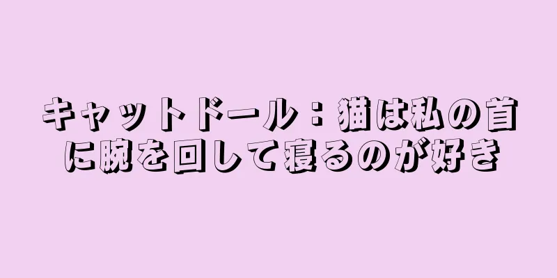 キャットドール：猫は私の首に腕を回して寝るのが好き