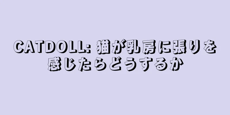 CATDOLL: 猫が乳房に張りを感じたらどうするか