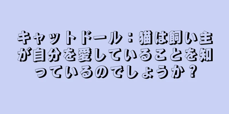 キャットドール：猫は飼い主が自分を愛していることを知っているのでしょうか？
