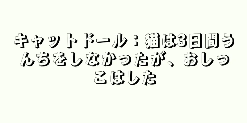 キャットドール：猫は3日間うんちをしなかったが、おしっこはした
