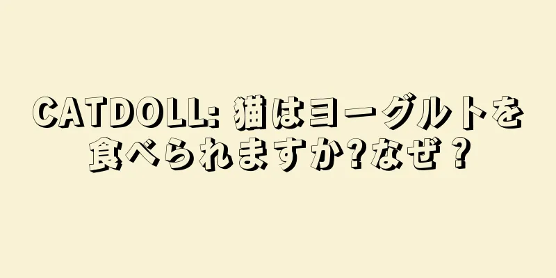 CATDOLL: 猫はヨーグルトを食べられますか?なぜ？