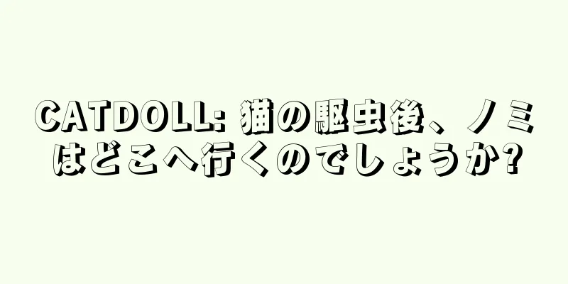 CATDOLL: 猫の駆虫後、ノミはどこへ行くのでしょうか?
