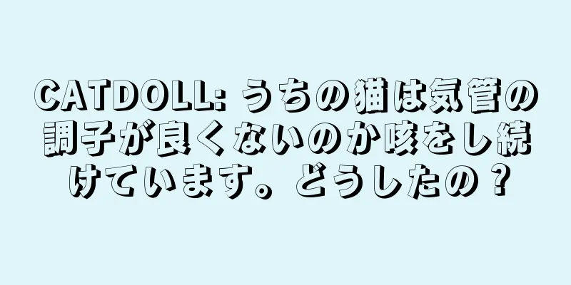 CATDOLL: うちの猫は気管の調子が良くないのか咳をし続けています。どうしたの？