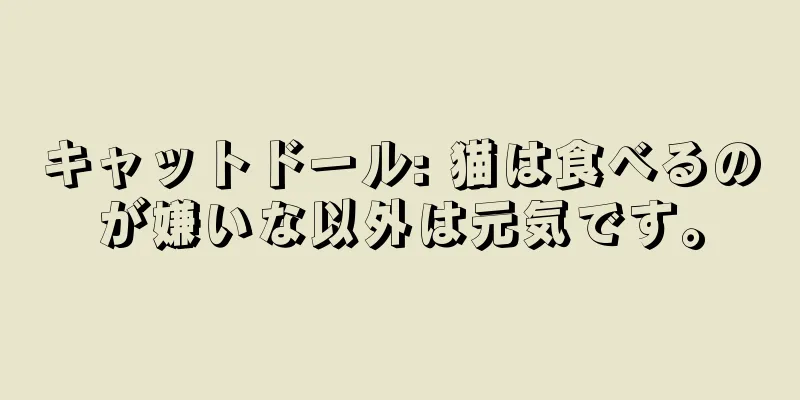 キャットドール: 猫は食べるのが嫌いな以外は元気です。