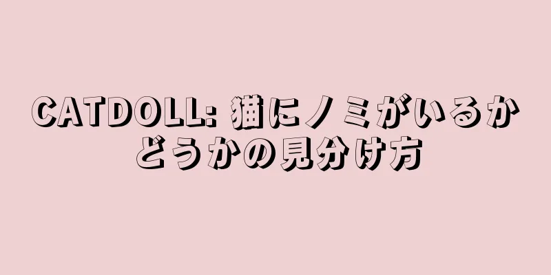 CATDOLL: 猫にノミがいるかどうかの見分け方