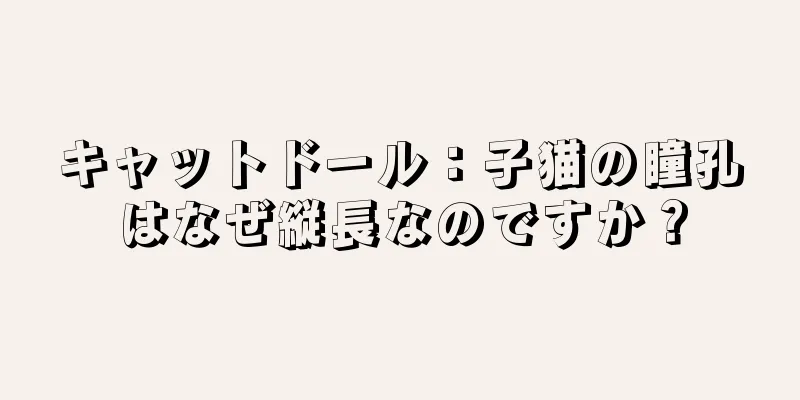 キャットドール：子猫の瞳孔はなぜ縦長なのですか？