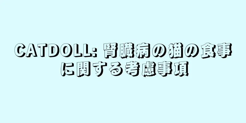CATDOLL: 腎臓病の猫の食事に関する考慮事項