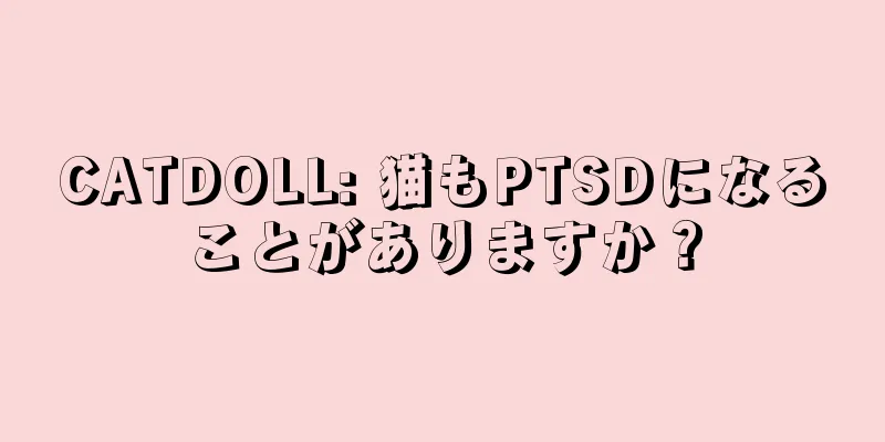 CATDOLL: 猫もPTSDになることがありますか？
