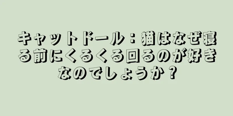 キャットドール：猫はなぜ寝る前にくるくる回るのが好きなのでしょうか？