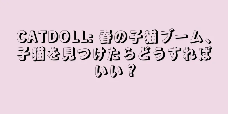 CATDOLL: 春の子猫ブーム、子猫を見つけたらどうすればいい？