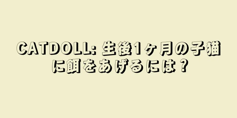 CATDOLL: 生後1ヶ月の子猫に餌をあげるには？