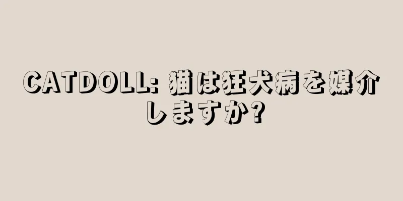 CATDOLL: 猫は狂犬病を媒介しますか?