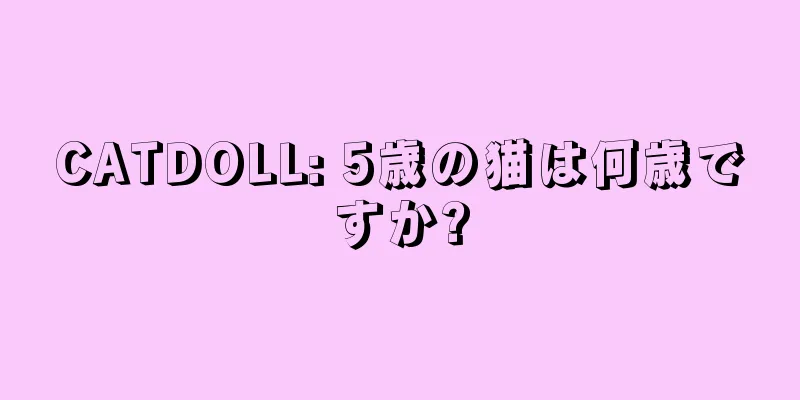 CATDOLL: 5歳の猫は何歳ですか?