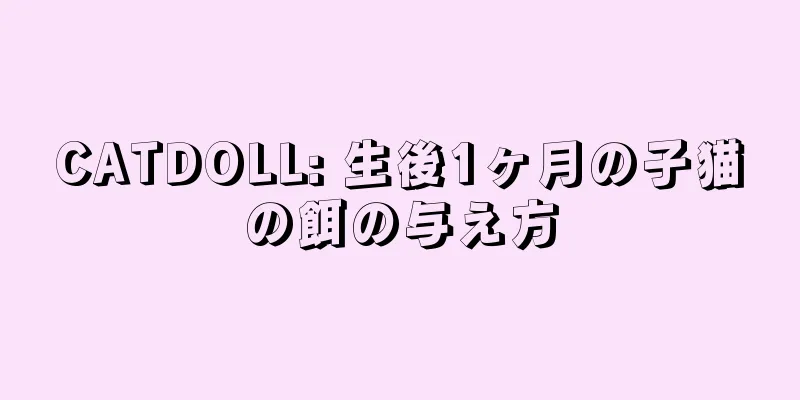 CATDOLL: 生後1ヶ月の子猫の餌の与え方