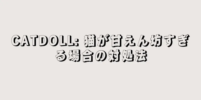 CATDOLL: 猫が甘えん坊すぎる場合の対処法