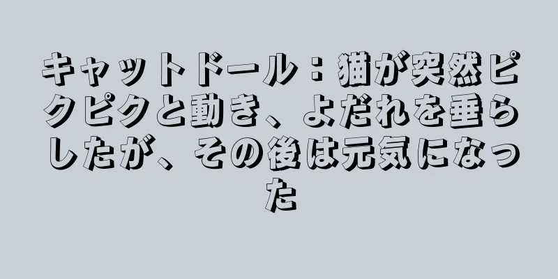 キャットドール：猫が突然ピクピクと動き、よだれを垂らしたが、その後は元気になった