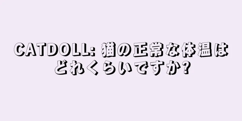 CATDOLL: 猫の正常な体温はどれくらいですか?
