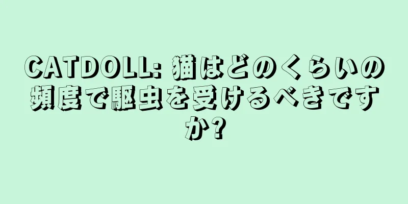 CATDOLL: 猫はどのくらいの頻度で駆虫を受けるべきですか?