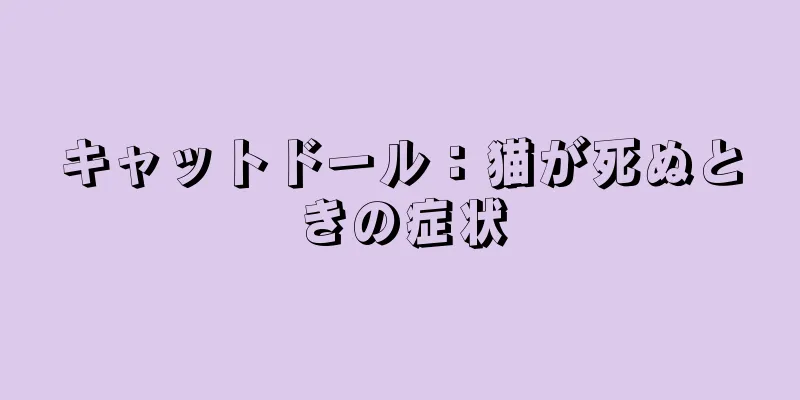 キャットドール：猫が死ぬときの症状