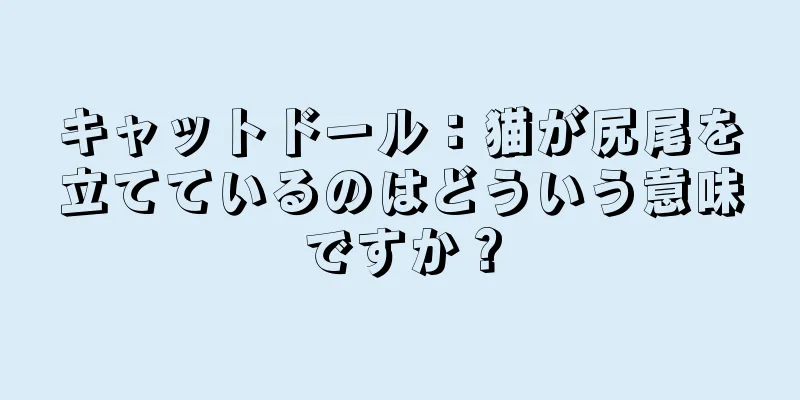 キャットドール：猫が尻尾を立てているのはどういう意味ですか？