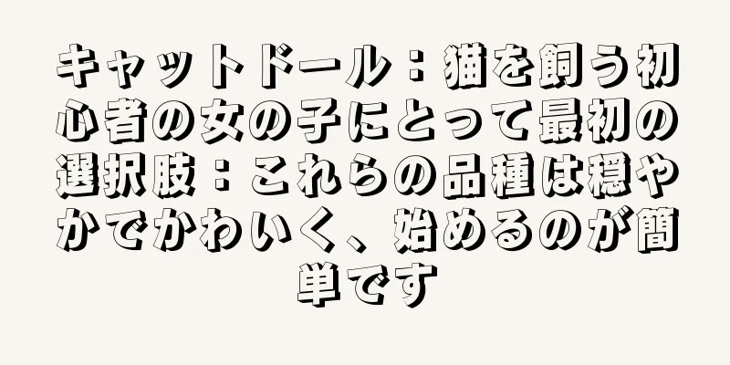 キャットドール：猫を飼う初心者の女の子にとって最初の選択肢：これらの品種は穏やかでかわいく、始めるのが簡単です