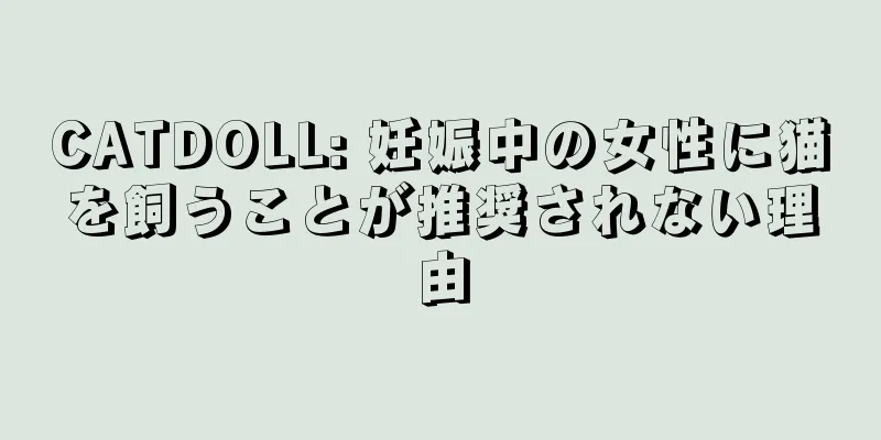 CATDOLL: 妊娠中の女性に猫を飼うことが推奨されない理由
