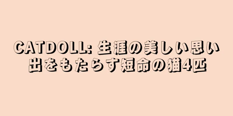CATDOLL: 生涯の美しい思い出をもたらす短命の猫4匹