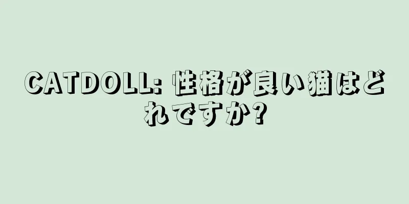 CATDOLL: 性格が良い猫はどれですか?